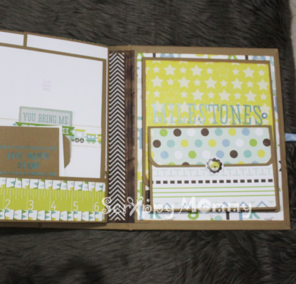 Baby Boy Mini Album PDF Tutorial
