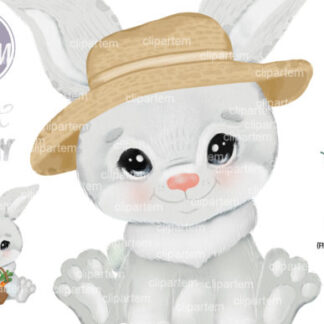 Baby Bunny Rabbit Clipart Bundle