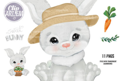 Baby Bunny Rabbit Clipart Bundle