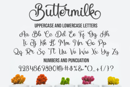Buttermilk Script Font
