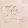 Femeanly Elegant Handwritten Script Font