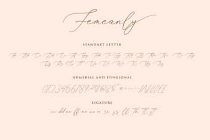 Femeanly Elegant Handwritten Script Font