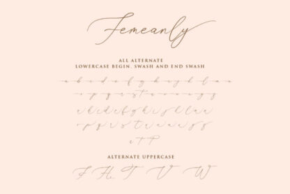 Femeanly Elegant Handwritten Script Font