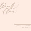 Femeanly Elegant Handwritten Script Font