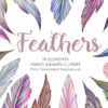 Hand Drawn Feathers Clipart