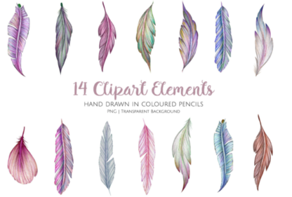 Hand Drawn Feathers Clipart