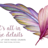 Hand Drawn Feathers Clipart