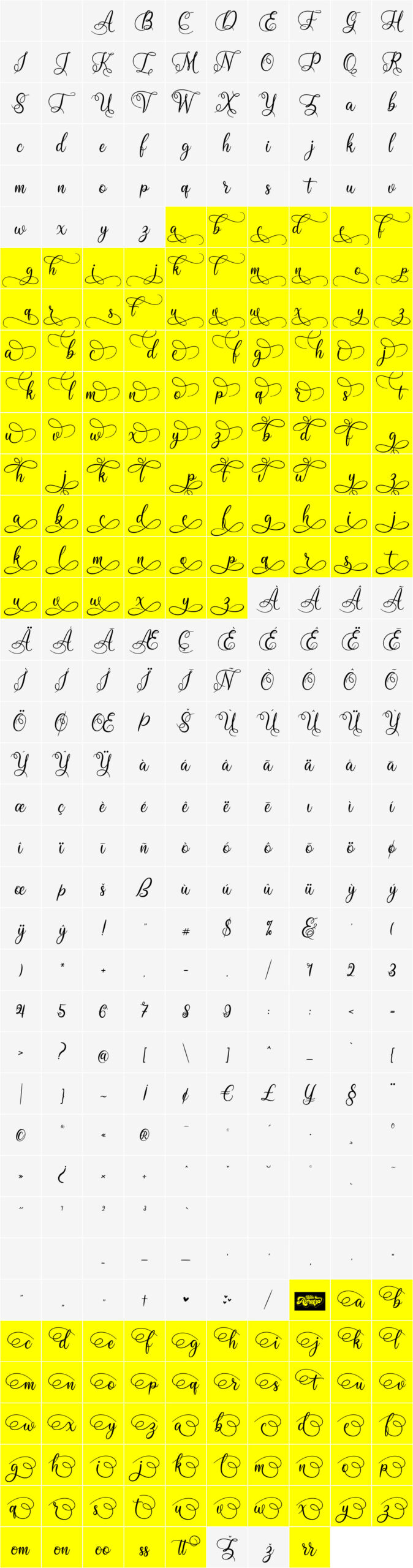 Midnight Vagansa Elegant Script Font