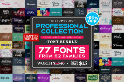 Professional Fonts Bundle