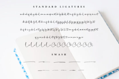 The Bechara Elegant Handwritten Font