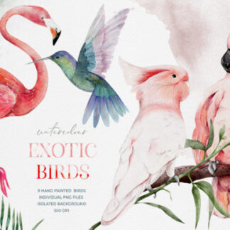 Watercolor Exotic Tropical Birds Clipart