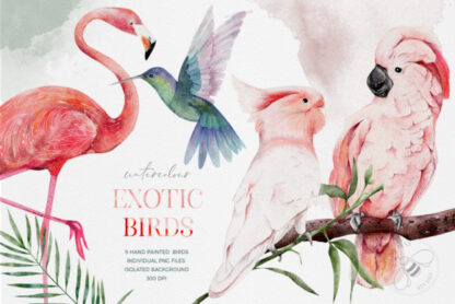 Watercolor Exotic Tropical Birds Clipart