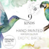 Watercolor Exotic Tropical Birds Clipart