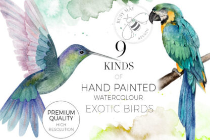 Watercolor Exotic Tropical Birds Clipart