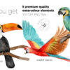 Watercolor Exotic Tropical Birds Clipart