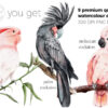 Watercolor Exotic Tropical Birds Clipart