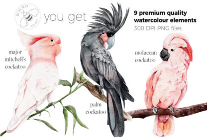 Watercolor Exotic Tropical Birds Clipart
