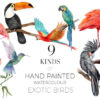 Watercolor Exotic Tropical Birds Clipart