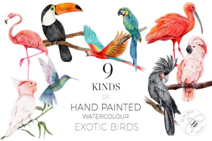 Watercolor Exotic Tropical Birds Clipart