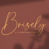 Brisely Handwritten Script Signature Font