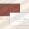 Brisely Handwritten Script Signature Font