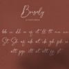 Brisely Handwritten Script Signature Font