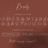 Brisely Handwritten Script Signature Font