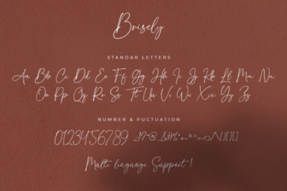Brisely Handwritten Script Signature Font