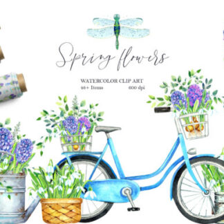 Watercolor Spring Flowers Hyacinths Graphics Clipart