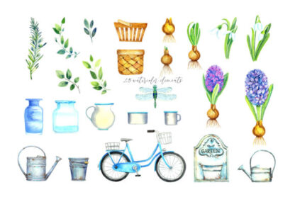 Watercolor Spring Flowers Hyacinths Graphics Clipart