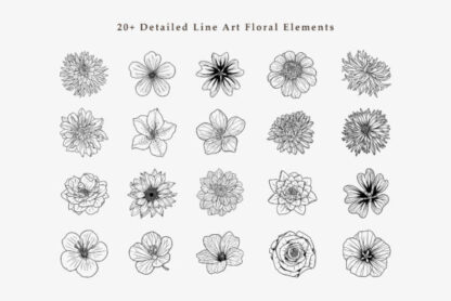 Blossom Line Art Graphics Clipart