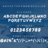 Under the Snow Layered Typeface Font