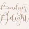 Badger Delight Font