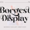 Borgest Font