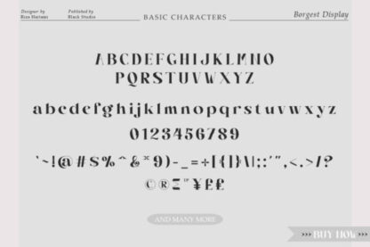 Borgest Font